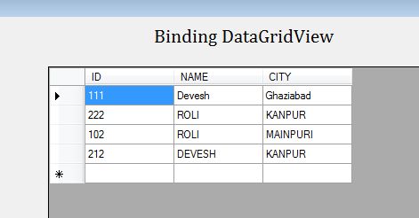 Binding DatagridView using Datatable